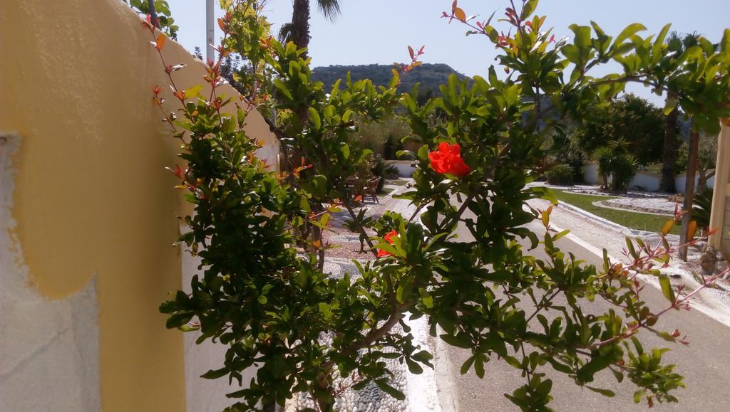 Mosaic Gardens Διαμέρισμα Φαληράκι Εξωτερικό φωτογραφία