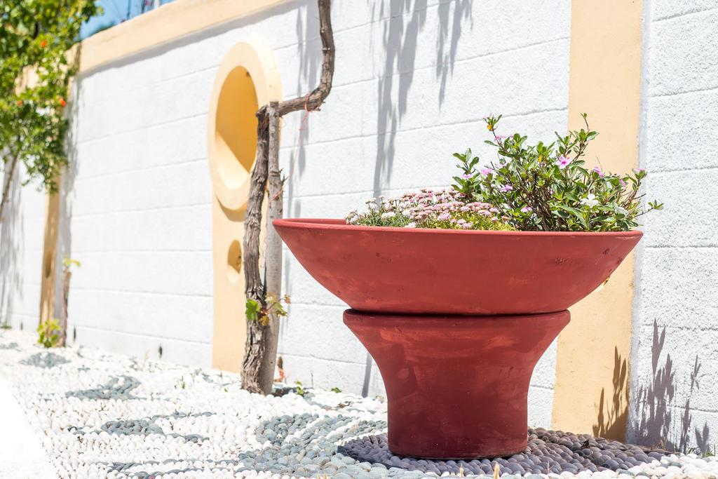 Mosaic Gardens Διαμέρισμα Φαληράκι Εξωτερικό φωτογραφία